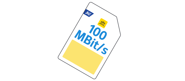 upsell 100 mbits webde