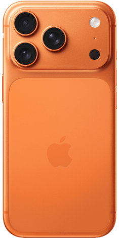 Back Image